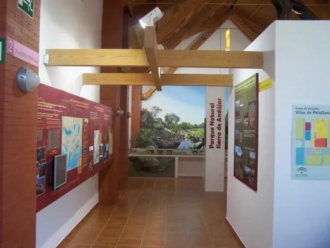 Imagen_006.jpg