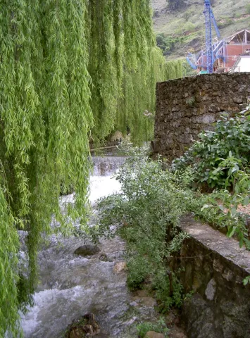 PICT5926.jpg