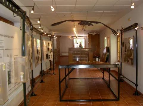 PICT5936.jpg