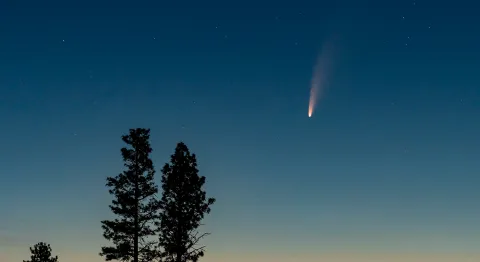C-2020-F3-Neowise-blog.png