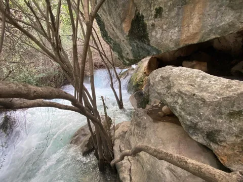 nacimiento-rio-cuadros-jpg