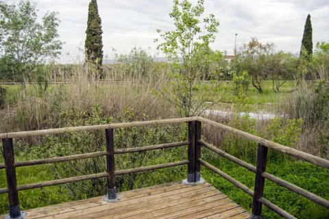 parqueforestal.jpg