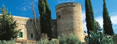 Castillos_Cacbecera%20%284%29.jpg