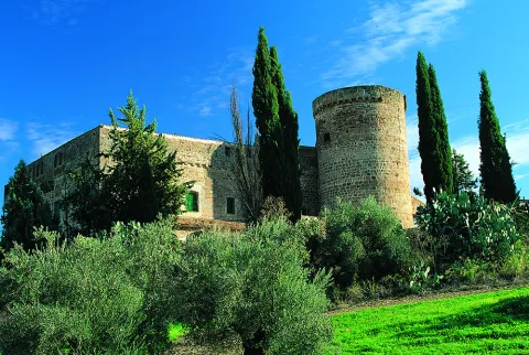 Mon063.jpg