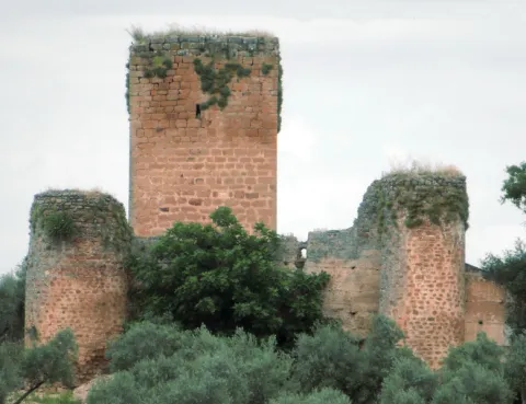 Castillo%20de%20la%20Aragonesa%203.png