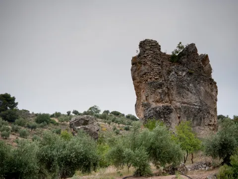 castillejo.jpg