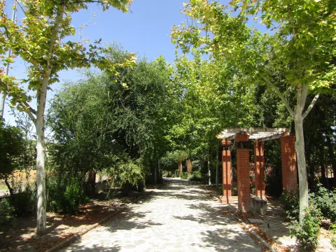 pilardehesa.jpg