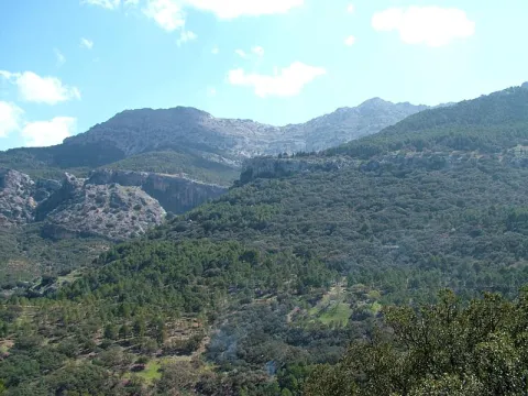NaturalPicoGilillo.jpg