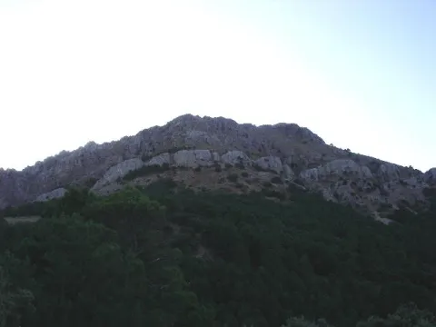 gilillo.jpg
