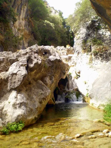 tornillogualay.jpg
