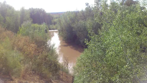 guadalimar.jpg