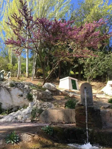 nacimiento%20%281%29.jpg