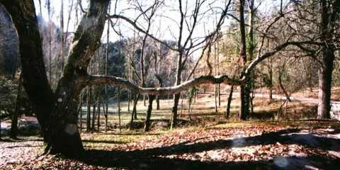 cueva-del-peinerojpg.jpg