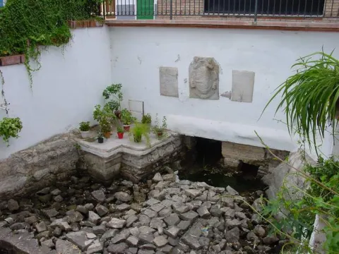 fuentelareja2001.jpg