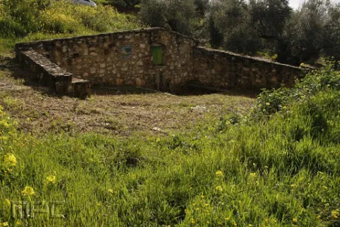 Camino%20El%20Vergao.jpg