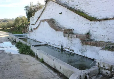 fuente.jpg