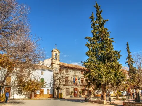 noalejo3.jpg
