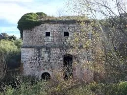 molino%20del%20cubo.jpg