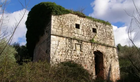 molino.jpg