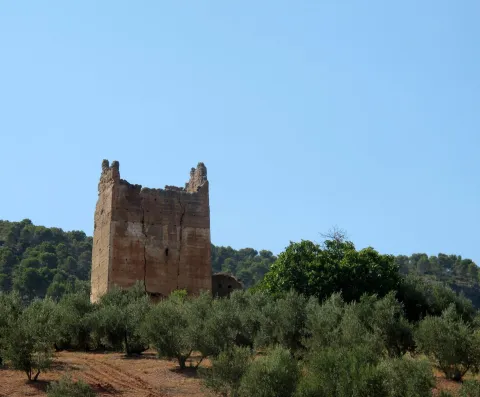 castillo_de_cardete_copy.jpg
