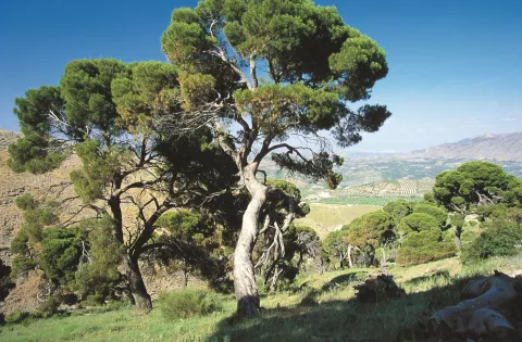 Monumentos_naturales_2%20%281%29.jpg