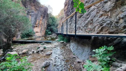 rio-cuadros-bedmar-garciez_14676034_20200923133251.jpg