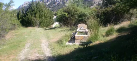 fuente%20%282%29.jpg