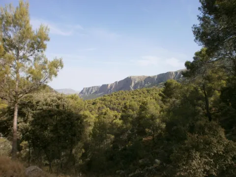 Llanos%20de%20Palomares-C%C3%A1rcheles.jpg