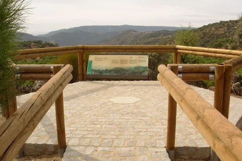 M_Camino_Viejo01.jpg