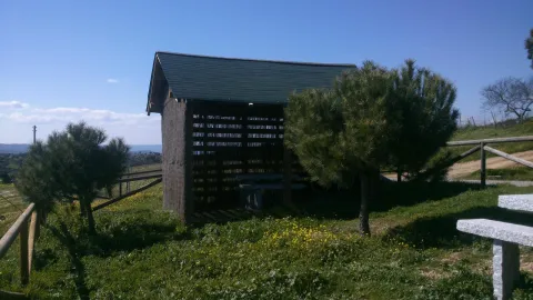miradorAlarcones.jpg