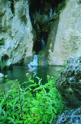 Natu066.jpg