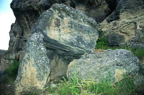 Natu149.jpg