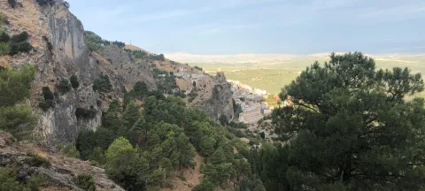 burunchel%20%281%29.jpg