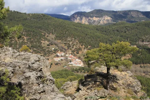 Fuente_Anchos037.JPG