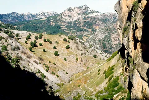 Segura-Cazorla_1976_49.jpg