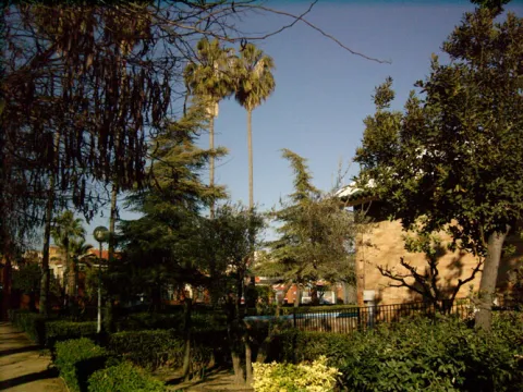 parque5.jpg