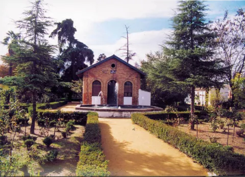 vivero.jpg