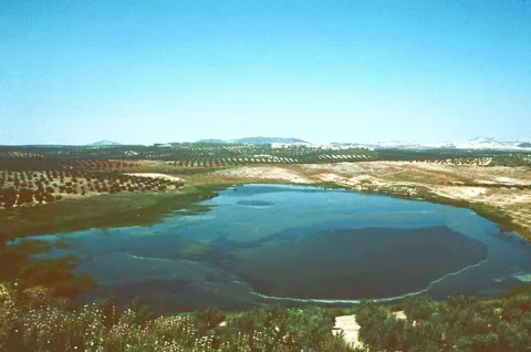 lagunaonda%20%281%29.jpg