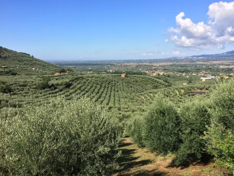 mirador.jpg