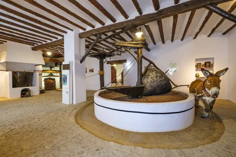 Baeza%20Museo%20olivo%201.jpg