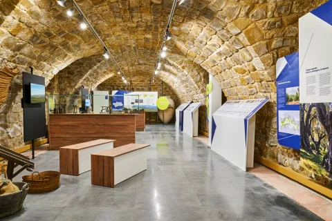 museo-1-1-jpg