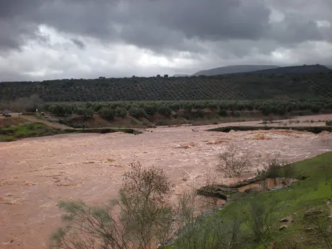 Yacimiento%20Arqueol%C3%B3gico%20Terrazas%20del%20Guadalimar2.jpg