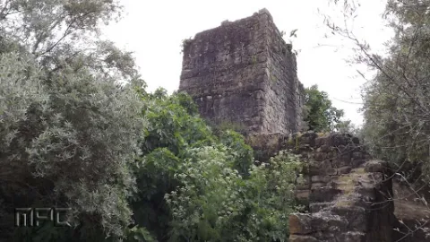 molinillo%20canena.jpg