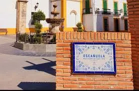 ayuntamiento%20esca%C3%B1uelas2.jpg