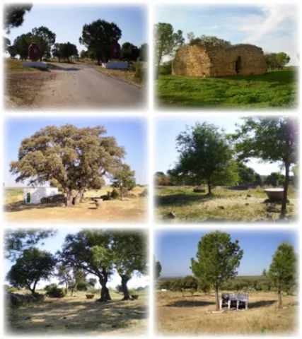 Paraje%20de%20la%20Ermita%20de%20Consolaci%C3%B3n%20%281%29.jpg