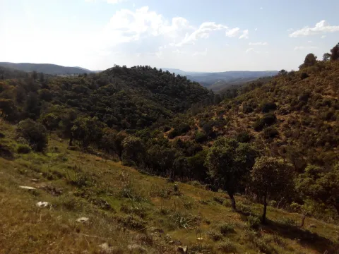 sierra%20del%20oro.jpg
