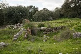 Encina%20Hermosa%20%281%29.jpg