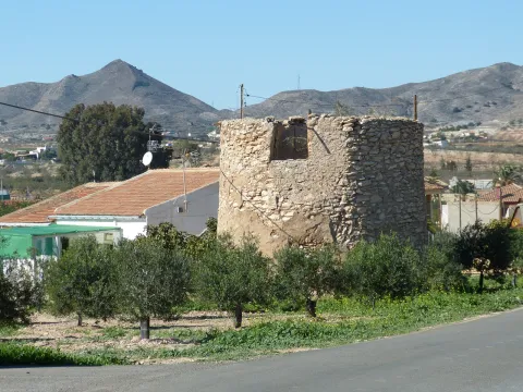 p1330838.jpg