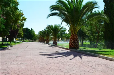 Parque%20Municipal%20Fuerte%20del%20Rey.jpg