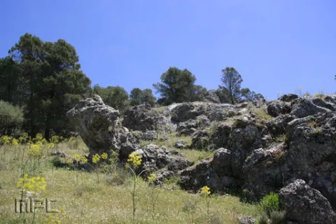 Cerro%20del%20Castillo2.jpg